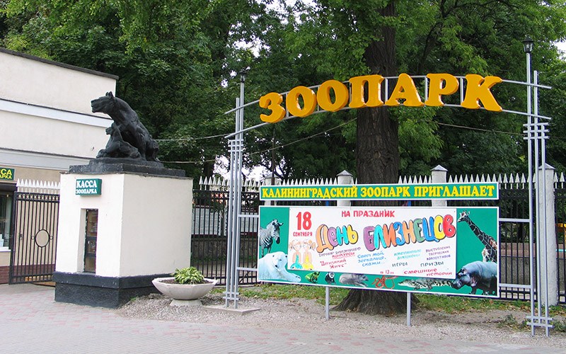 Зоопарк Калининграда 